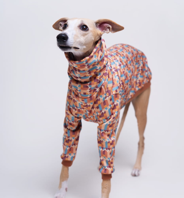 Bluza dla charta, retro bluza