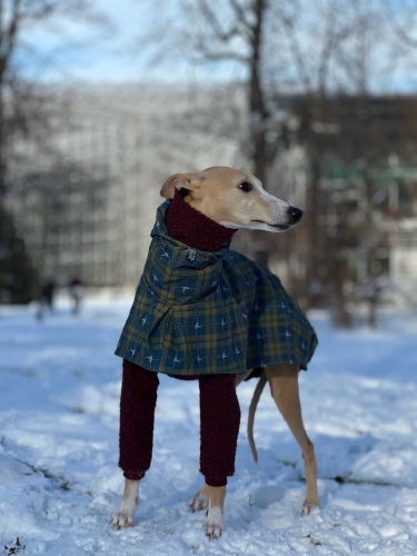 IMG_6189.jpeg