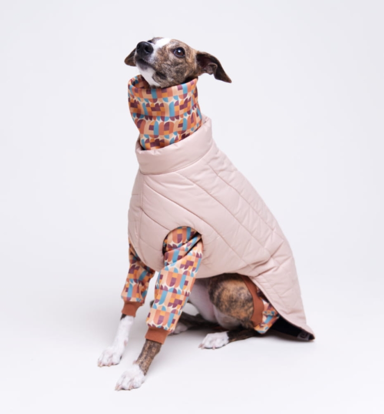 Bluza dla charta, whippet, kurtka dla charta, ubranie na cebulkę