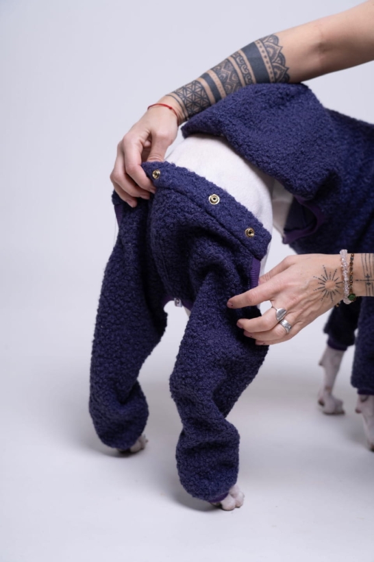 spodnie do dwuczęściowego kombinezonu dla whippeta boucle  BarankoweLove Pomerdane