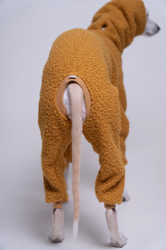 kombinezon jednoczęściowy boucle dla whippeta pomerdane