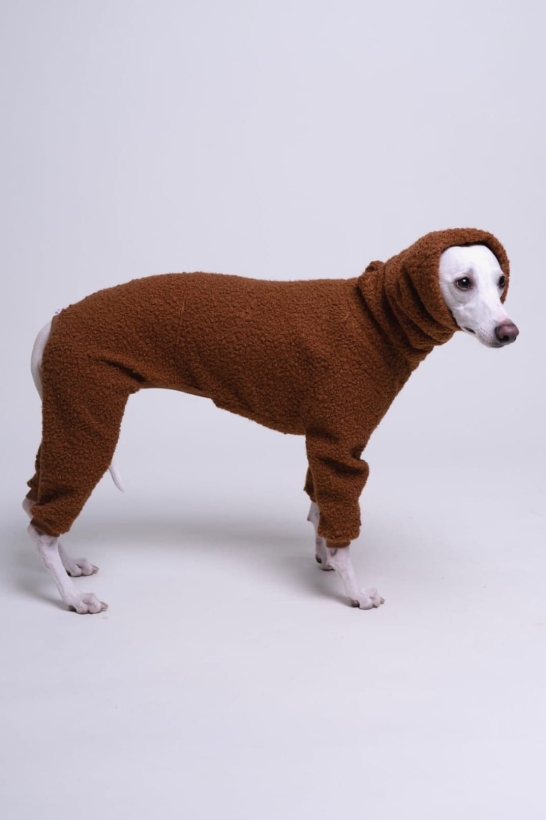 kombinezon jednoczęściowy boucle dla whippeta pomerdane