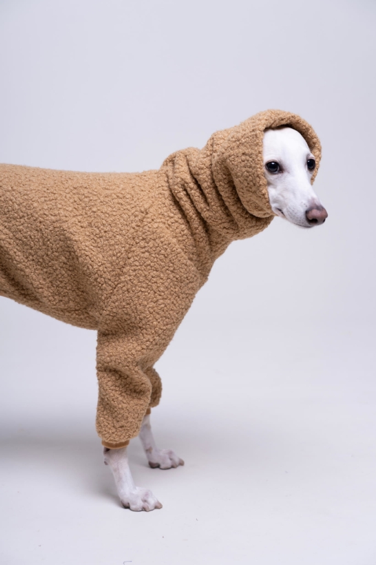 kombinezon jednoczęściowy boucle dla whippeta pomerdane