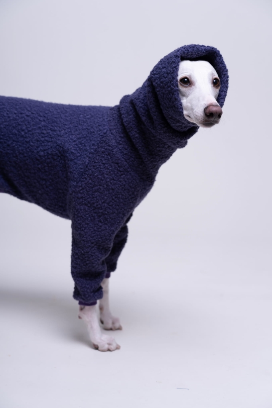 kombinezon jednoczęściowy boucle dla whippeta pomerdane