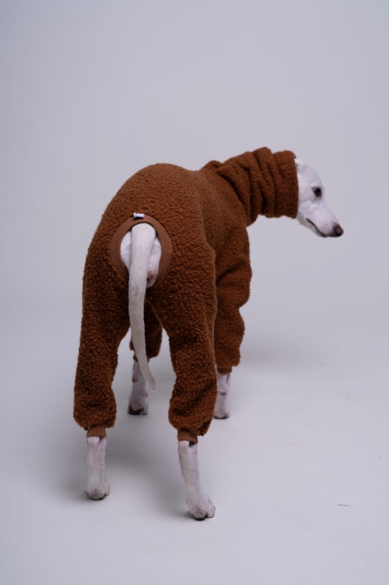 kombinezon jednoczęściowy boucle dla whippeta pomerdane