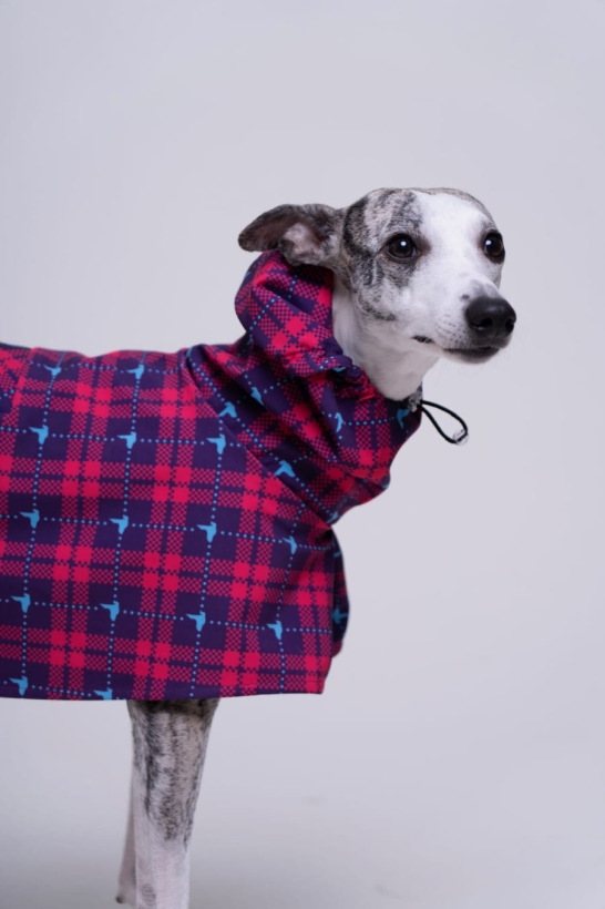 płaszcz softshellowy wodoodporny , whippet w rózowym płaszczu w krate