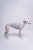 DSC03914.JPG