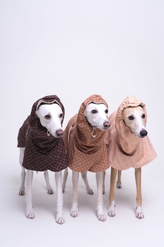 płaszcze zimowe dla charta na zdjęciu trzy whippet w płaszczach zimowych pięknych w kolorach stonowanych czekolada, chałwa, cynamon, w stylu angielskim