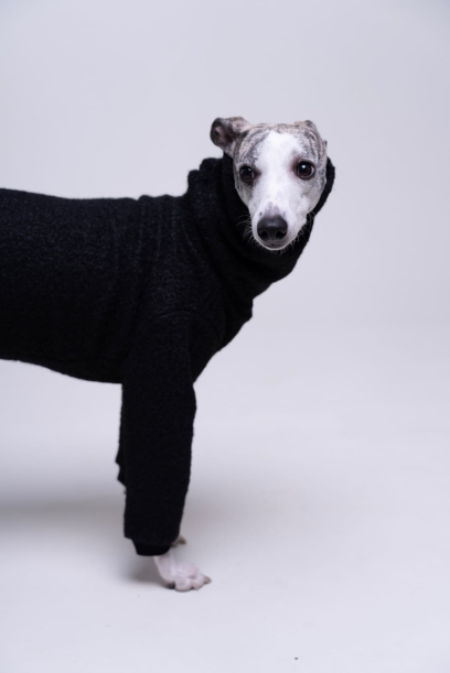 bluza boucle dla whippeta czarna