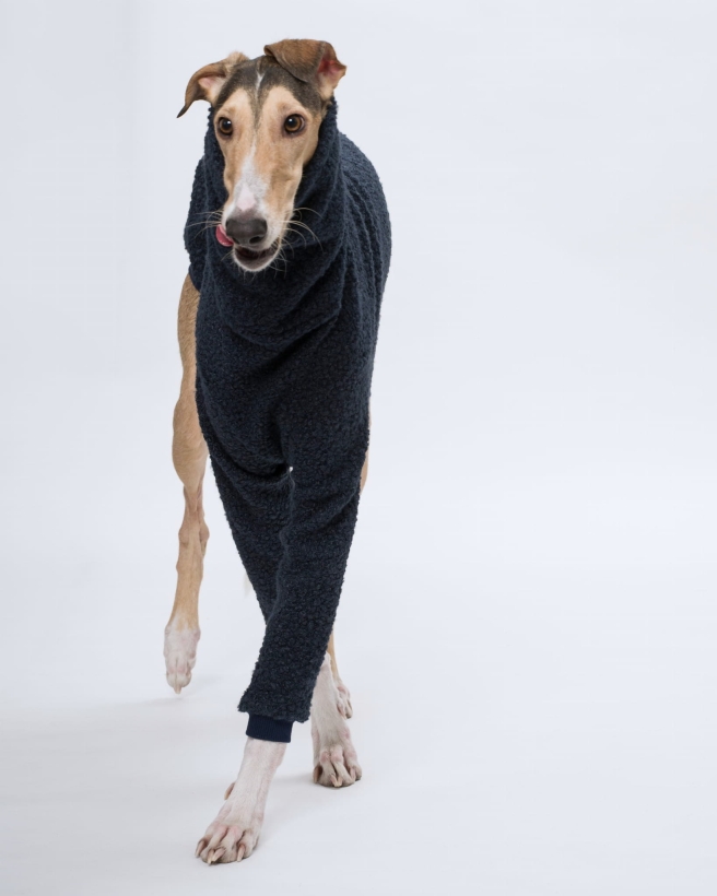 bluza boucle chart polski