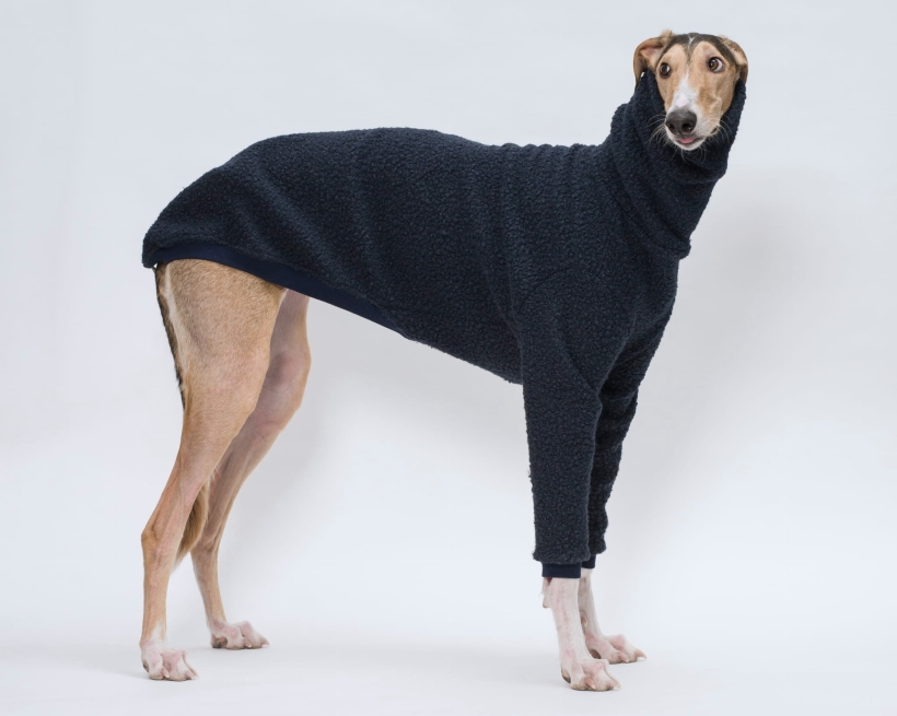 bluza dla charta  z boucle chart polski