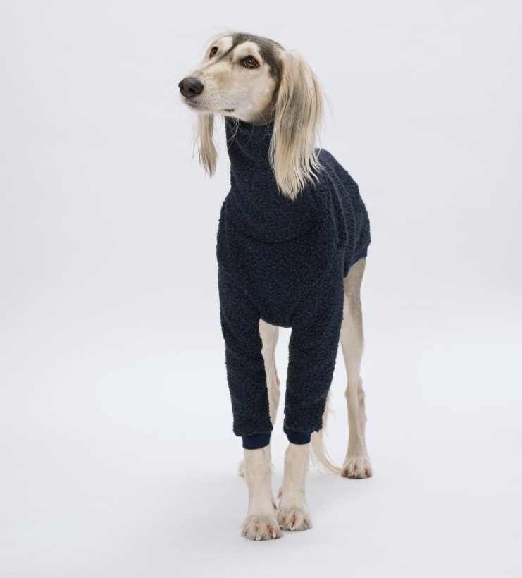 bluza boucle chart saluki