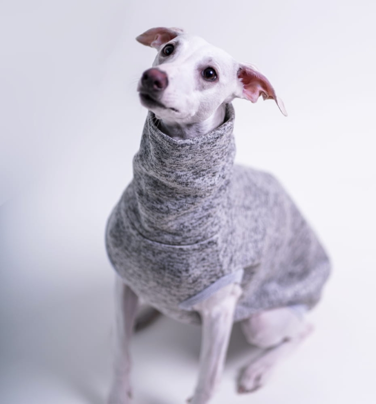 Bezrękawnik dla charta