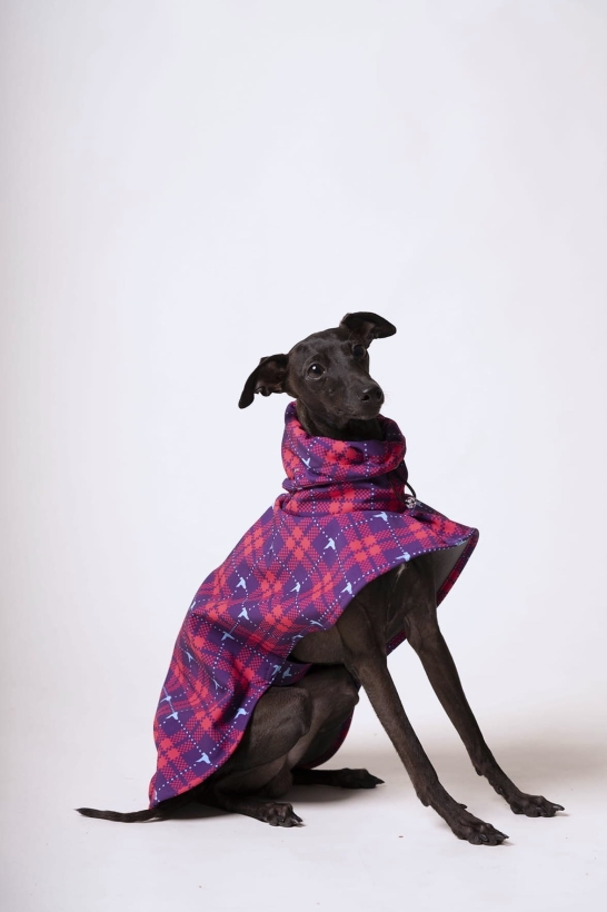 Płaszcz softshellowy dla charta