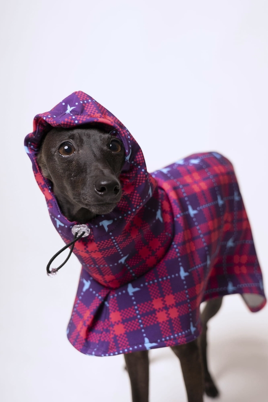 Płaszcz softshellowy dla charta