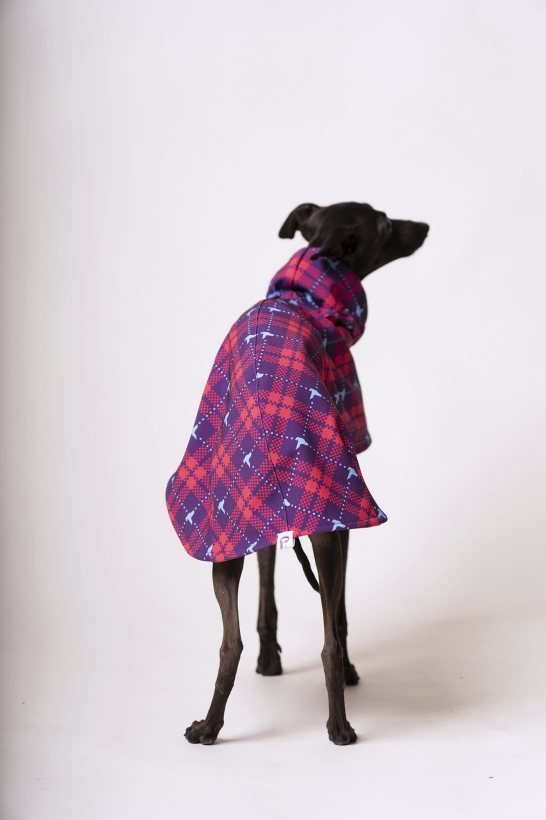 Płaszcz softshellowy dla charta