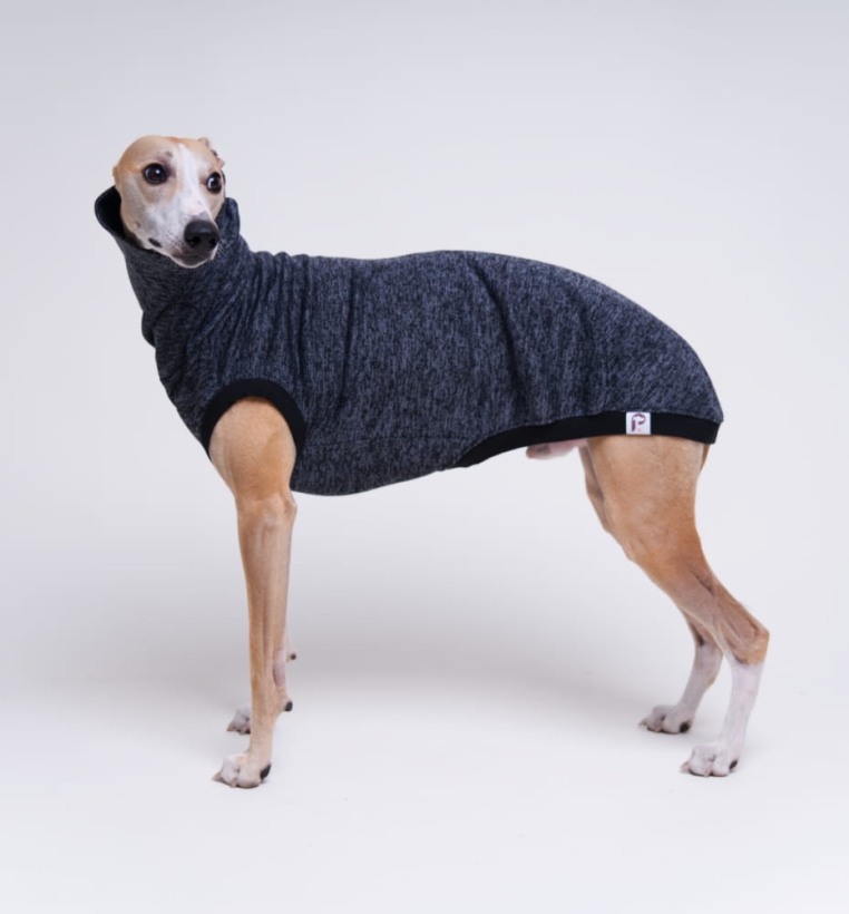 Bezrękawnik dla charta