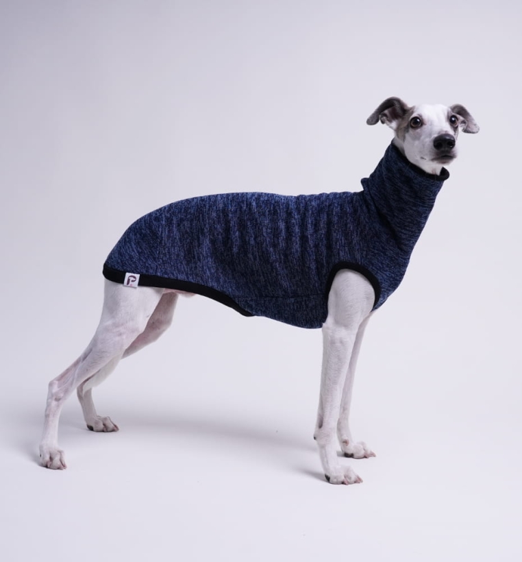 Bezrękawnik dla charta