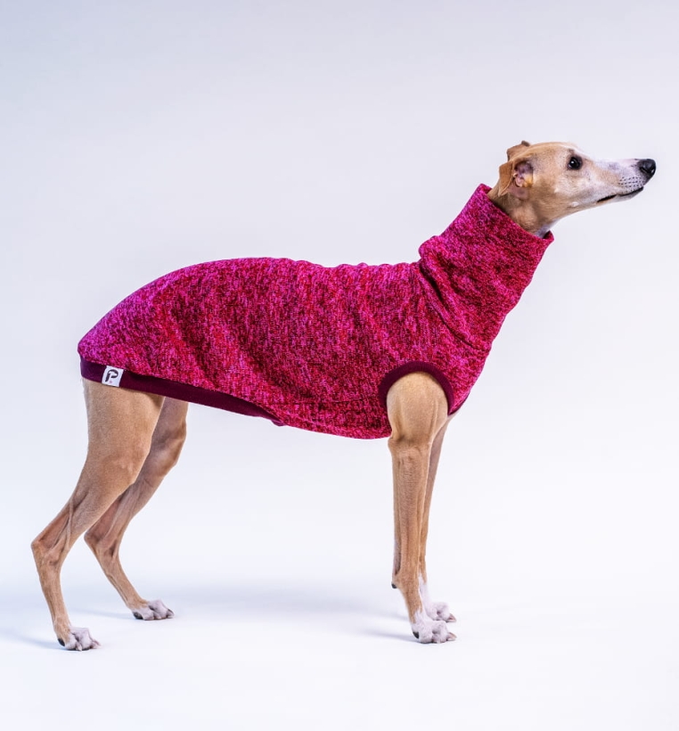 Bezrękawnik dla charta