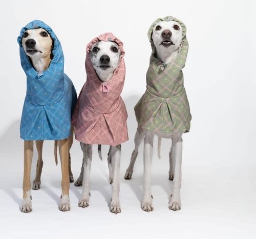 płaszcz softshellowy dla charta kolekcja BLOOM Pomerdane , na zdjęciu trzy whippetyb w płaszczach w kratkę pastelowe kolory