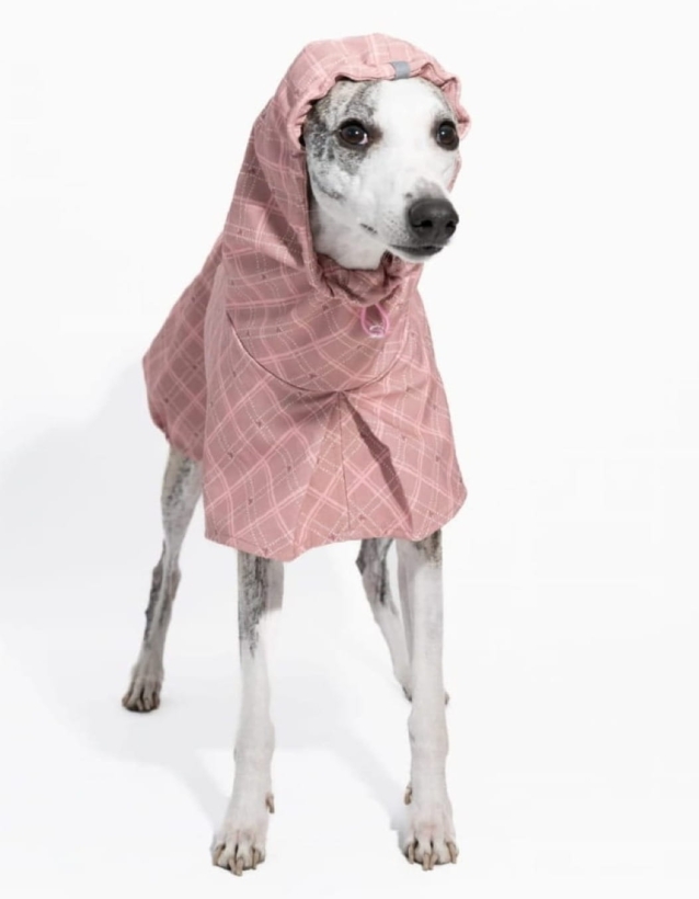 płaszcz softshellowy różowy dla charta kolekcja Bloom- Pomerdane