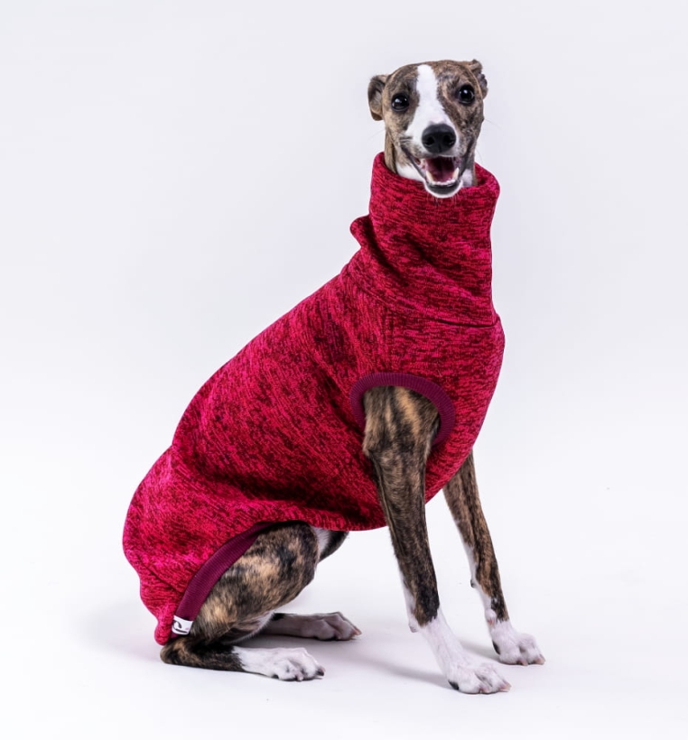 Bezrękawnik dla charta