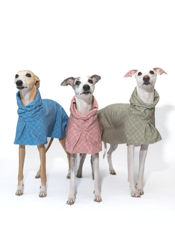 płaszcz softshellowy dla charta kolekcja BLOOM pastelowa, na zdjęciu trzy whippetyb w płaszczach w kratkę pastelowe kolory
