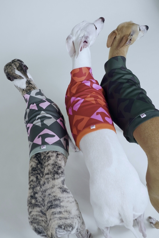 top sportowy, bezrękawnik dla charta, na zdjęciu dwa whippety kremowy, płowy i pręgowany w topach czerwonym i zielonym i khaki