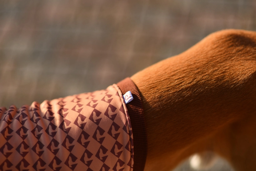 top sportowy GAPA , na zdjęciu detal wzoru