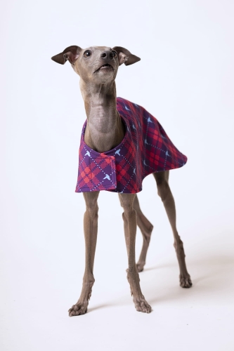 derka dla charta softshellowa