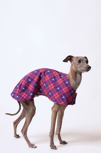 derka dla charta softshellowa