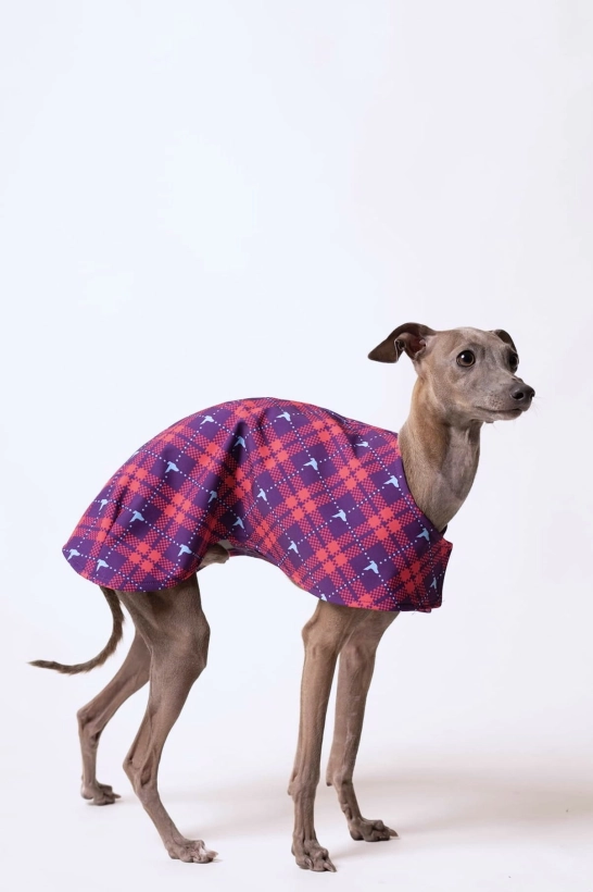 derka dla charta softshellowa