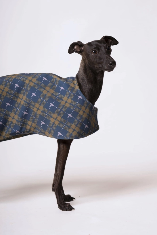 derka dla charta softshellowa