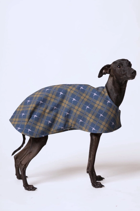 derka dla charta softshellowa