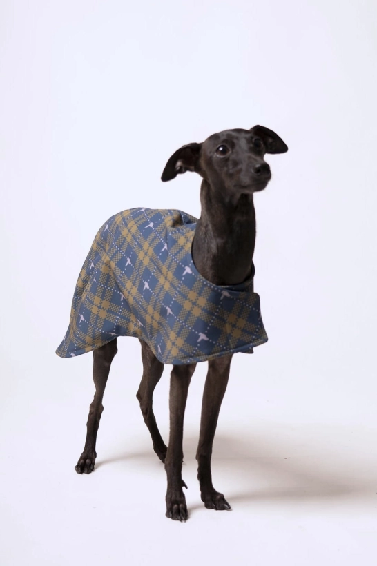 derka dla charta softshellowa