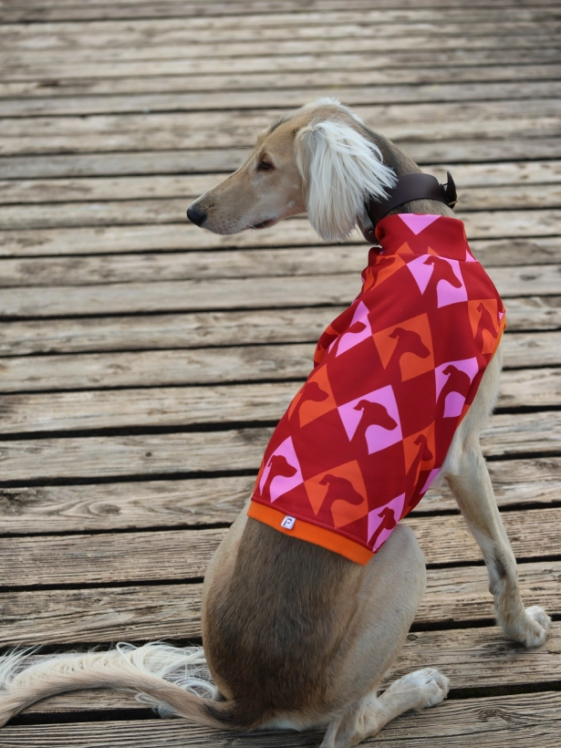 top sportowy GAPA , na zdjęciu chart saluki w czerwonym topie