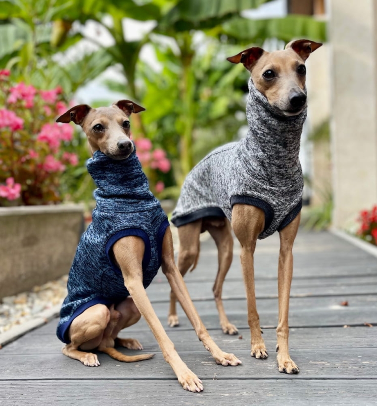 Bezrękawnik z dzianiny polarowej Charciki włoskie