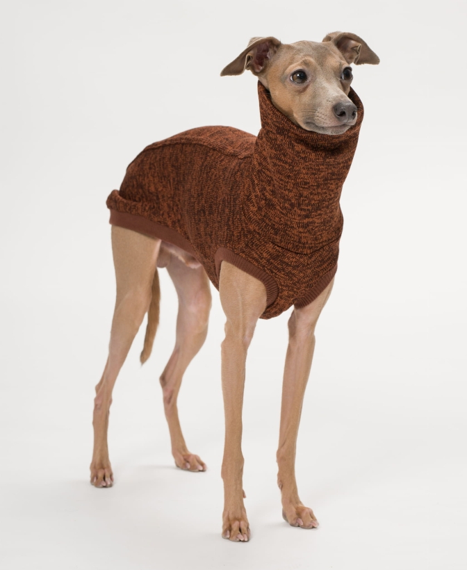 bezrękawnik dla charcik włoski