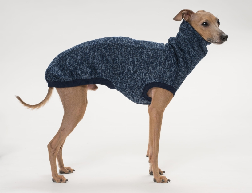 05 Dżemik i Klopsik__PZF6914.JPG