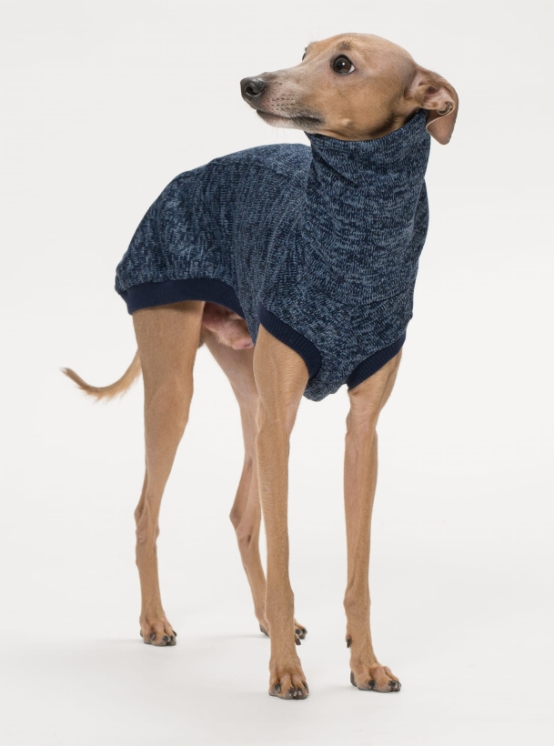 bezrękawnik dla charta