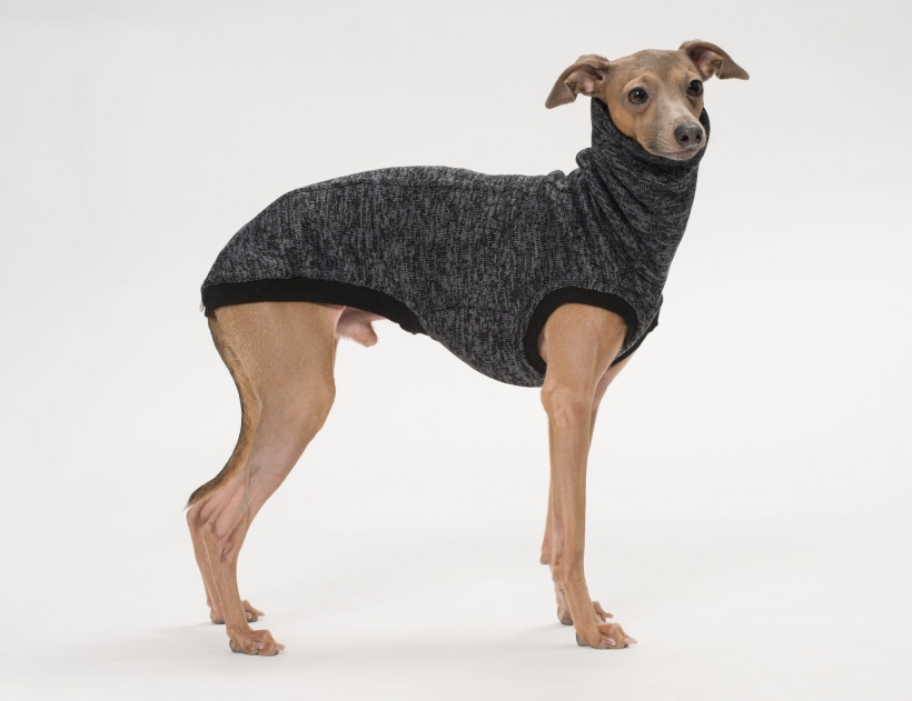 bezrękawnik dla charta