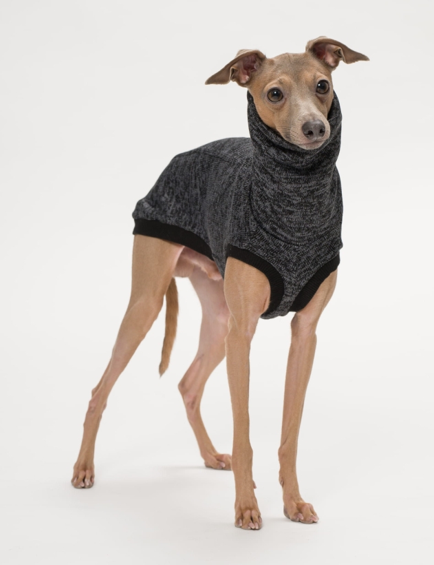 bezrękawnik dla charta