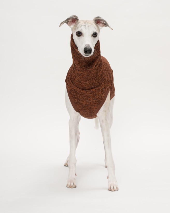 bezrękawnik dla charta