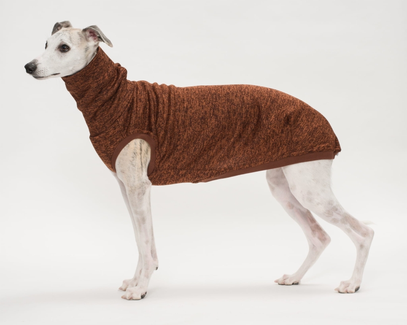 bezrękawnik dla charta