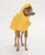 kurtka dla charta, bluza dla charta
