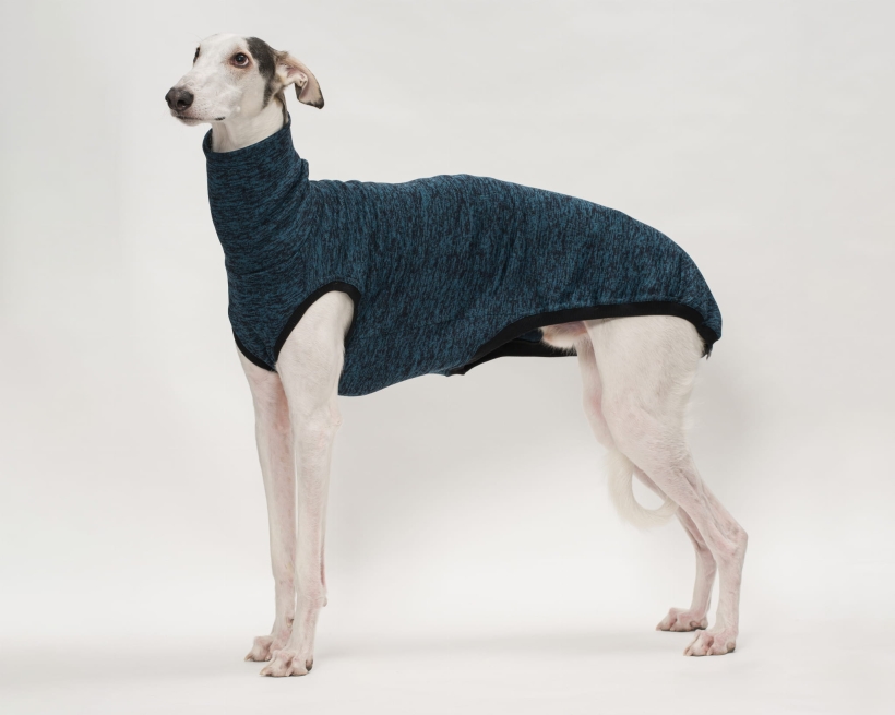 bezrękawnik dla charta