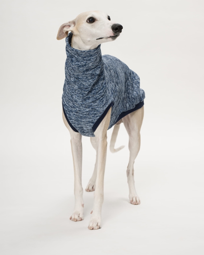 bezrękawnik dla charta