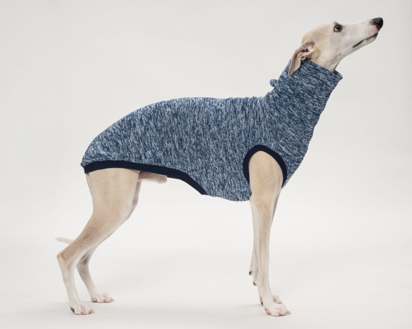 bezrękawnik dla charta