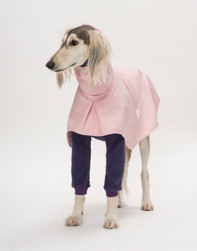 bluza dla charta, kurtka dla charta