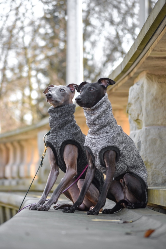 bezrękawniki z dzianiny polarowej charciki włoskie